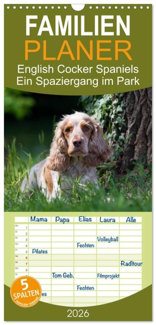 Familienplaner 2026 - English Cocker Spaniels - Ein Spaziergang im Park mit 5 Spalten (Wandkalender, 21 x 45 cm) CALVENDO - Fotodesign Verena Scholze