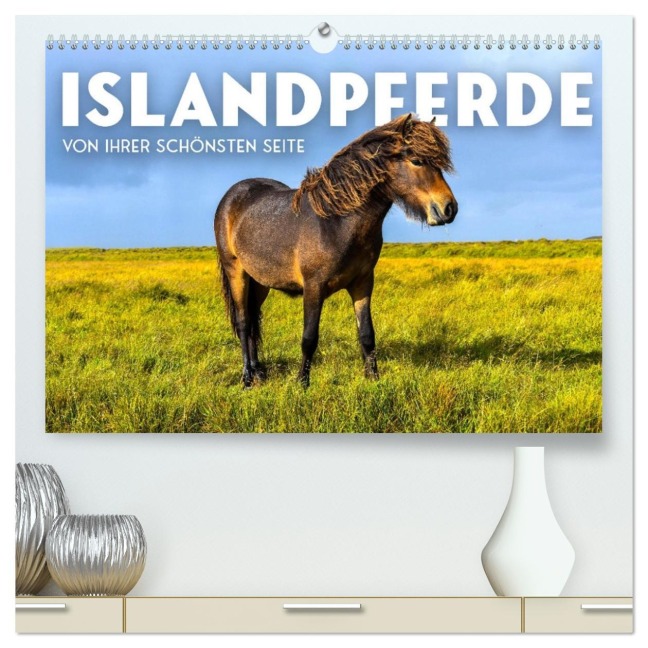 Islandpferde - Von ihrer schönsten Seite (hochwertiger Premium Wandkalender 2026 DIN A2 quer), Kunstdruck in Hochglanz - Sf Sf