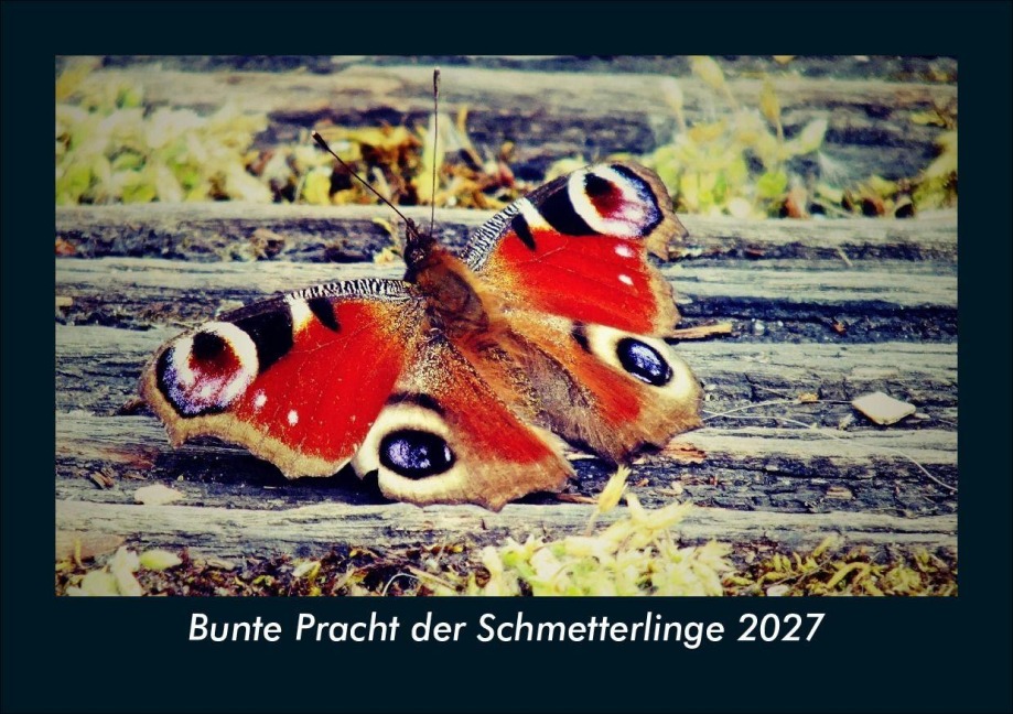 Bunte Pracht der Schmetterlinge 2027 Fotokalender DIN A5 - Tobias Schmitt, Kevin Heber