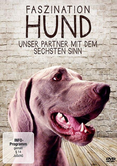 Faszination Hund - Unser Partner mit dem sechsten Sinn - 