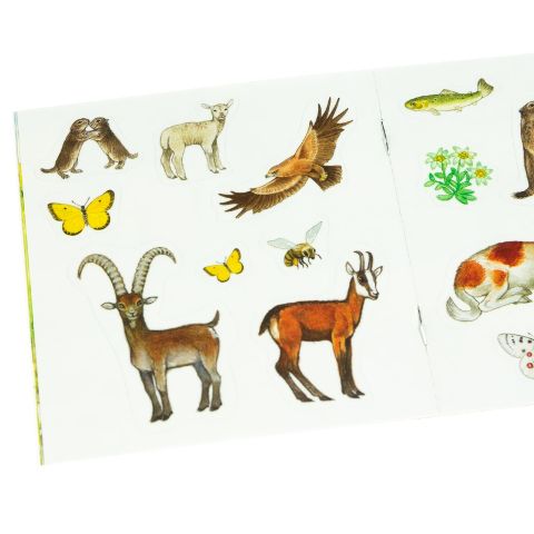 InsideView 5