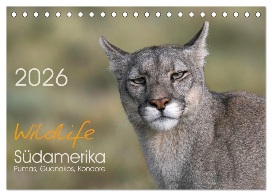 Wildlife Südamerika (Tischkalender 2026 DIN A5 quer), CALVENDO Monatskalender - Heike Kuratli