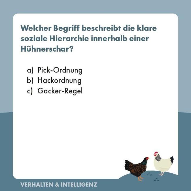 InsideView 5