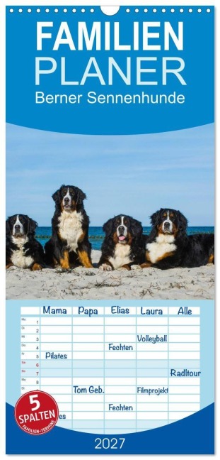 Familienplaner 2027 - Berner Sennenhund 2027 mit 5 Spalten (Wandkalender, 21 x 45 cm) CALVENDO - Sigrid Starick