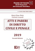 Atti e pareri di diritto civile e penale - Dario Primo Triolo, Gabriele Leonardi