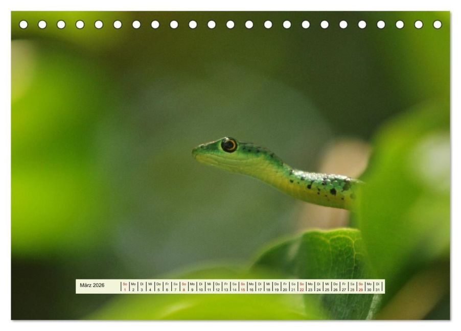 InsideView 8