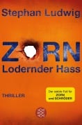 Cover-Bild zum Titel 'Zorn - Lodernder Hass' von 'Stephan Ludwig'