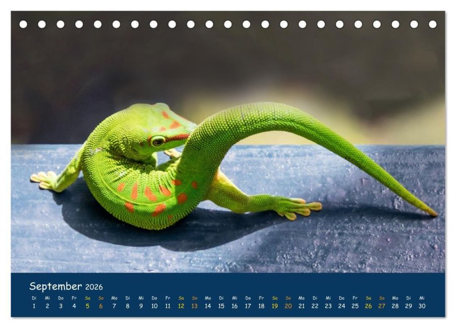 InsideView 14