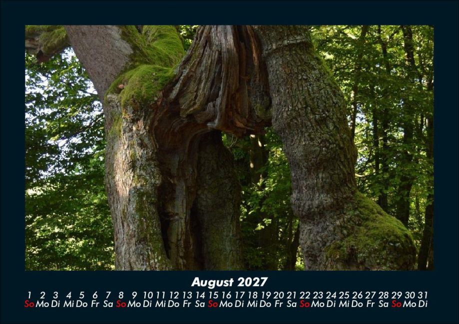 InsideView 12