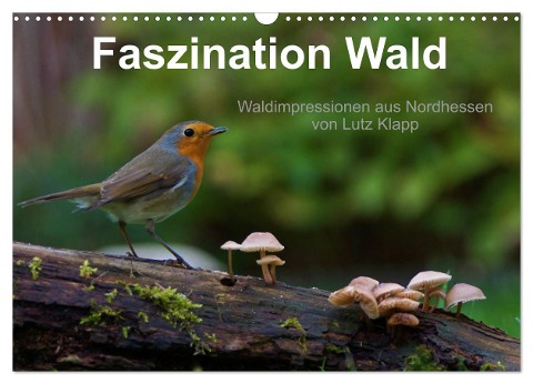 Faszination Wald. Waldimpressionen aus Nordhessen von Lutz Klapp (Wandkalender 2024 DIN A3 quer), CALVENDO Monatskalender - Lutz Klapp