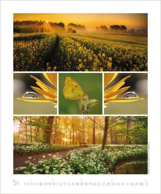 InsideView 5