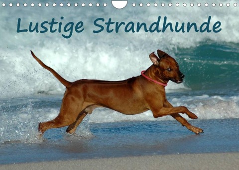 Lustige Strandhunde (Wandkalender 2023 DIN A4 quer) - Anke van Wyk - www. germanpix. net