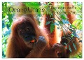 Orang Utans - Sumatras sanfte Waldmenschen (Wandkalender 2024 DIN A3 quer), CALVENDO Monatskalender - S. B. Otero