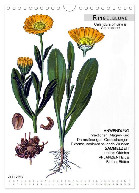 InsideView 12