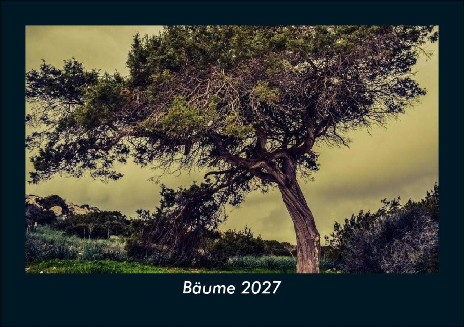 Bäume 2027 Fotokalender DIN A5 - Tobias Schmitt, Kevin Heber