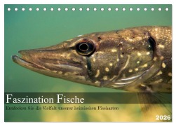 Cover-Bild zum Titel 'Faszination Fische (Tischkalender 2026 DIN A5 quer), CALVENDO Monatskalender' von 'Daniel Pelz'