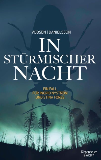 In stürmischer Nacht - Roman Voosen, Kerstin Signe Danielsson