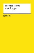 Cover-Bild zum Titel 'Erzählungen' von 'Theodor Storm'