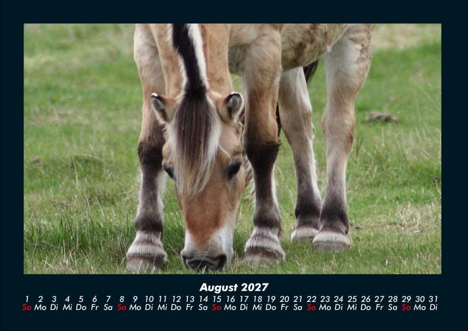 InsideView 12