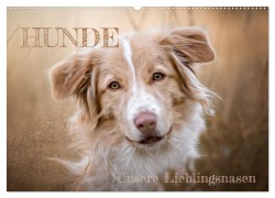 Hunde - Unsere Lieblingsnasen (Wandkalender 2026 DIN A2 quer), CALVENDO Monatskalender - Tierfotografie Andreas Kossmann