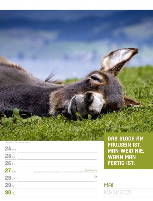 InsideView 25