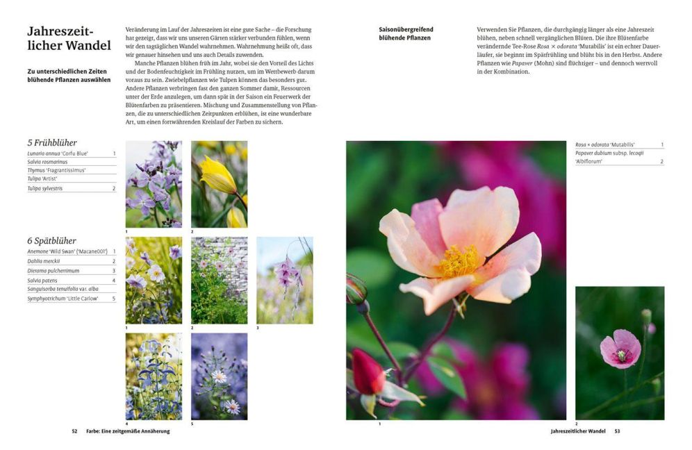 InsideView 4