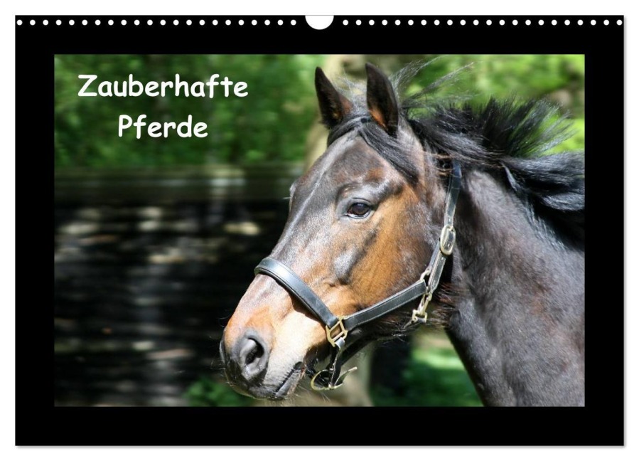 Zauberhafte Pferde (Wandkalender 2026 DIN A3 quer), CALVENDO Monatskalender - Christine Daus