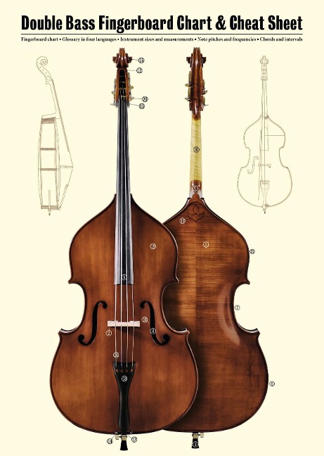 Double Bass Fingerboard Chart & Cheat Sheet - Jonas Lohse