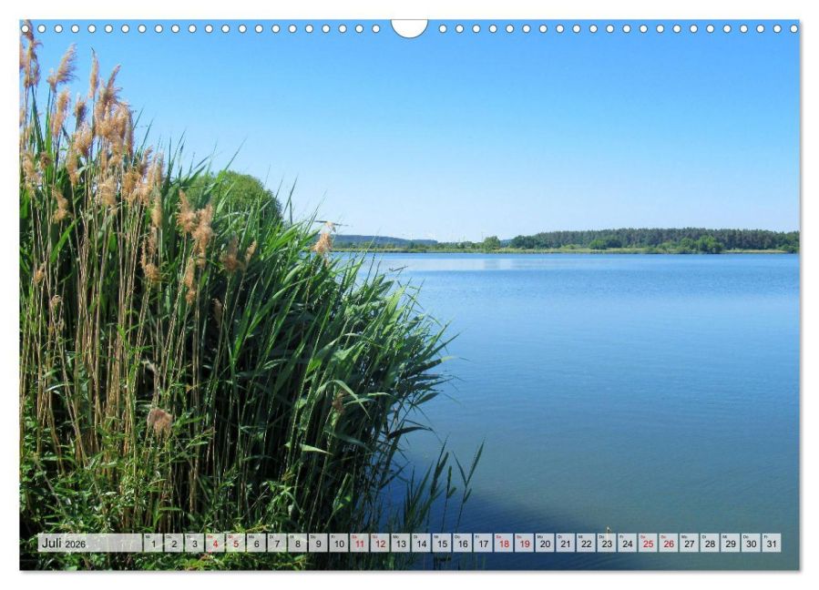 InsideView 12