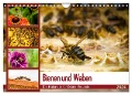 Bienen und Waben (Wandkalender 2024 DIN A4 quer), CALVENDO Monatskalender - Barbara Wilms
