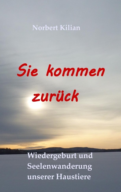 Sie kommen zurück - Norbert Kilian