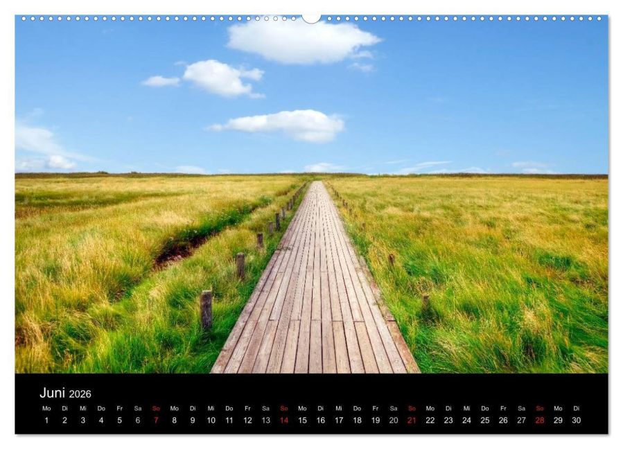 InsideView 11