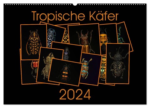 Tropische Käfer (Wandkalender 2024 DIN A2 quer), CALVENDO Monatskalender - Burkhard Körner