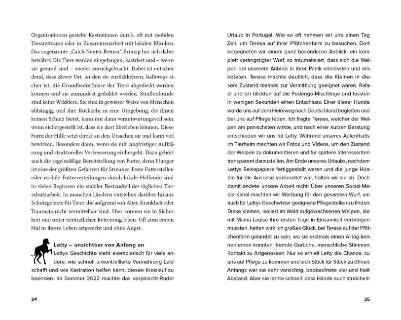 InsideView 4