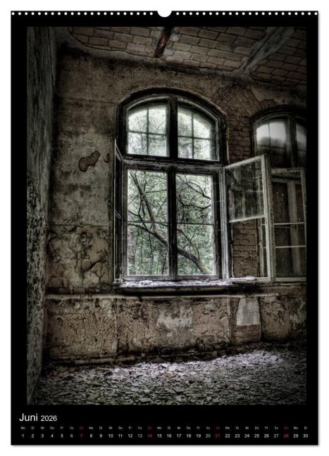 InsideView 11