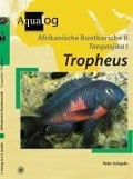 Cover-Bild zum Titel 'Afrikanische Buntbarsche 2. Tanganjika 1. Tropheus' von 'Peter Schupke'