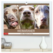 Cover-Bild zum Titel 'Weimaraner. Edel, elegant und klug (hochwertiger Premium Wandkalender 2026 DIN A2 quer), Kunstdruck in Hochglanz' von 'Rose Hurley'