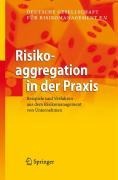 Risikoaggregation in der Praxis - 