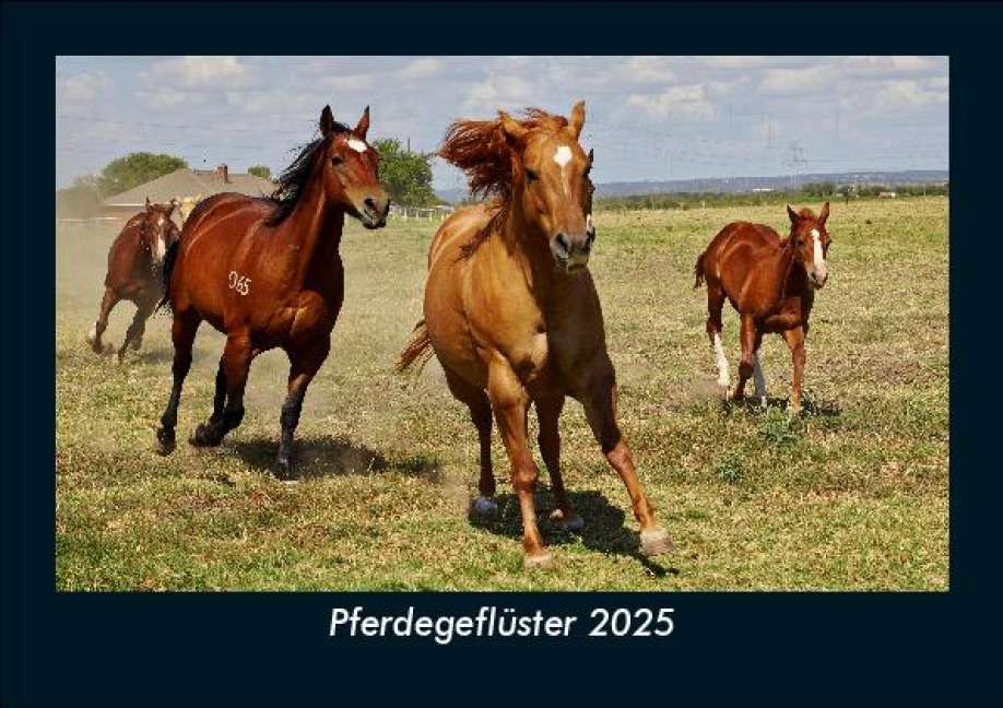 Pferdegeflüster 2025 Fotokalender DIN A5 - Tobias Becker