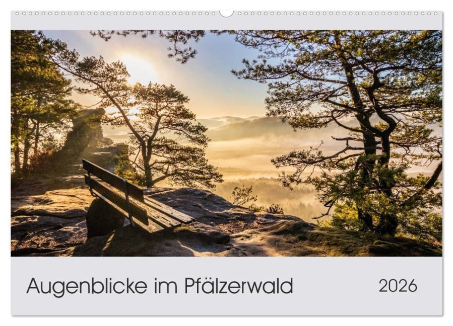 Augenblicke im Pfälzerwald (Wandkalender 2026 DIN A2 quer), CALVENDO Monatskalender - Patricia Flatow
