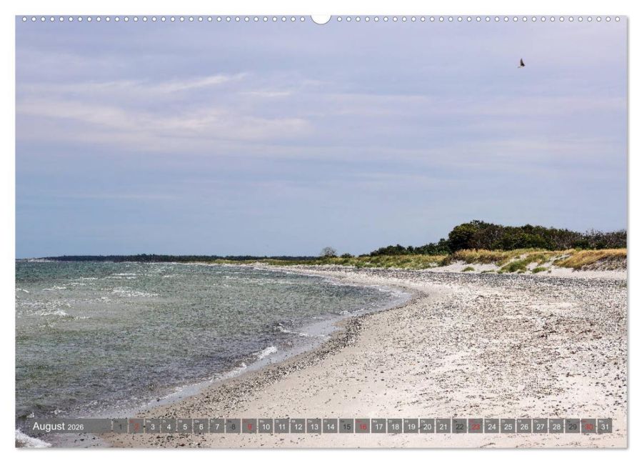 InsideView 12