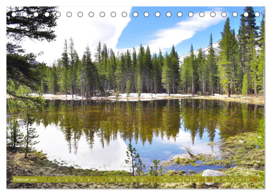 InsideView 7