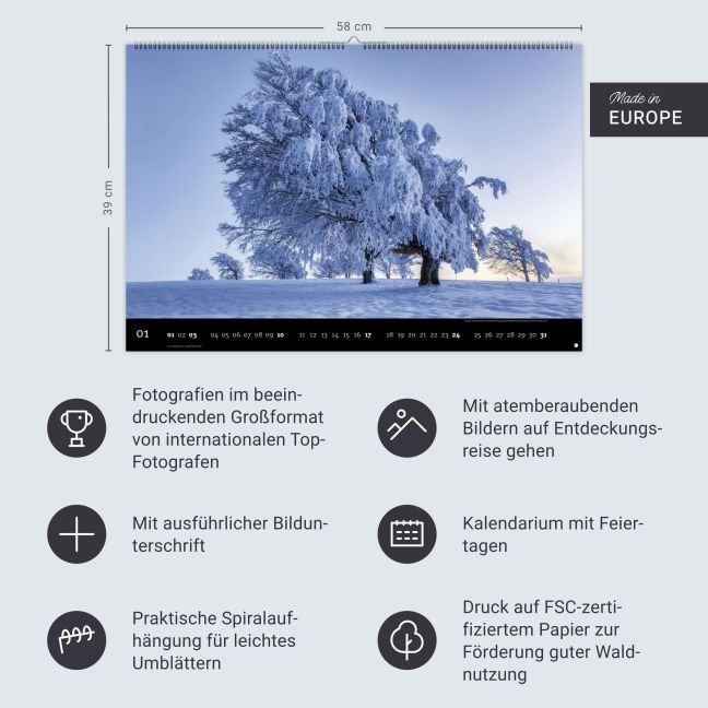 InsideView 13