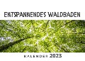 Cover-Bild zum Titel 'Entspannendes Waldbaden' von 'Bibi Hübsch'