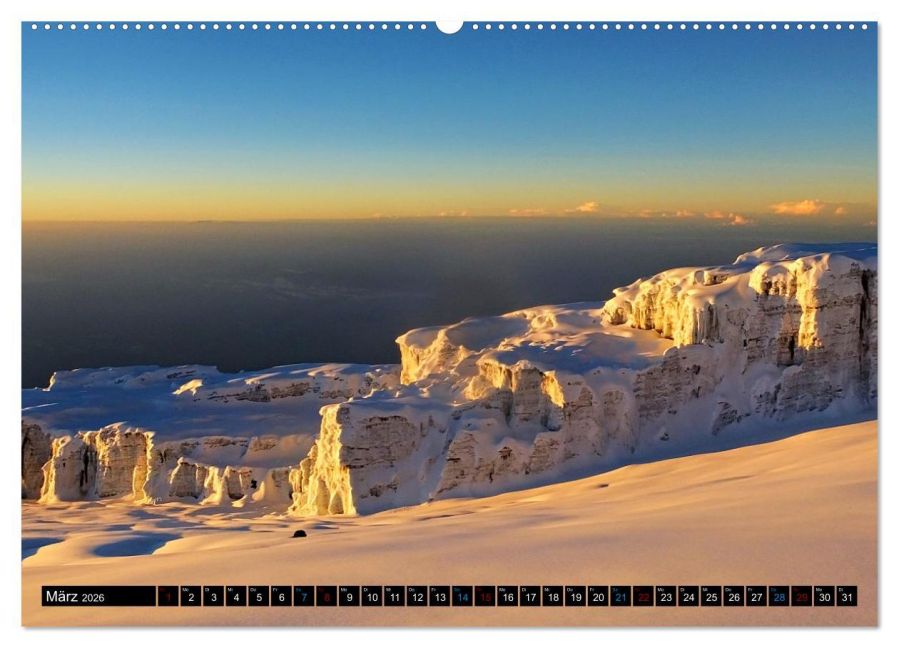 InsideView 8