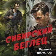 Cover-Bild zum Titel 'Sibirskiy beglets' von 'Valeriy Sharapov'