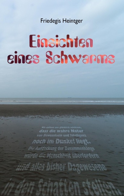 Einsichten eines Schwarms - Friedegis Heintger