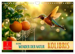Kolibris - kleine Wunder der Natur (Wandkalender 2025 DIN A4 quer), CALVENDO Monatskalender - Peter Roder