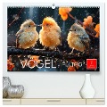 Vögel Alltag (hochwertiger Premium Wandkalender 2024 DIN A2 quer), Kunstdruck in Hochglanz - Peter Roder