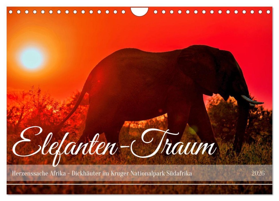 Elefanten-Traum - Herzenssache Afrika (Wandkalender 2026 DIN A4 quer), CALVENDO Monatskalender - Wibke Woyke